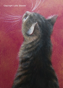 Nala Acrylic e-Packet
